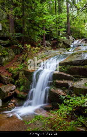 Sudeten, das Karkonosze-Gebirge, der Myja-Bach, Polen Stockfoto