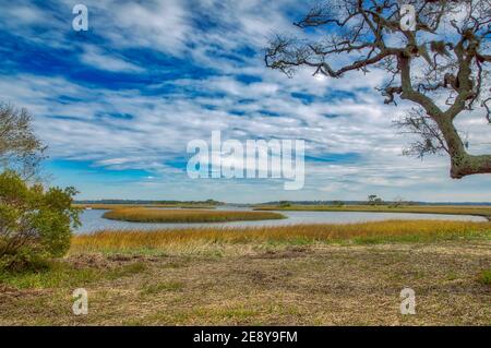 Cedar Point Preserve Stockfoto