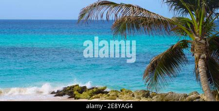 I Sea Blue. Blautöne im Meer Stockfoto