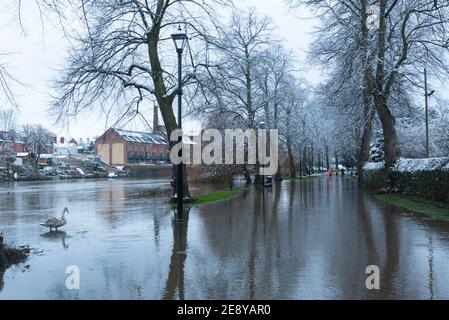 Flooded River Severn and Snow, Shrewsbury, Shropshire, Sonntag, 24th. Januar 2021. Normalerweise an einem Sonntag, würde dieser Weg wimmelt von Tagesausflüglern und Einheimischen ausüben. Die Kombination aus Lockdown und der Flut des Severn hat jedoch die meisten Menschen daran gehindert, die gesamte Strecke dieser Straße zu nutzen, während sie sich in Richtung des Steinbruchs schlängelt, dem eleganten und beliebten Park in Shrewsbury. Doch in der Ferne hat eine Familie gerade durch die Flut gepaddelt, mit ihren Schlitten, um Spaß im Park zu haben. Stockfoto