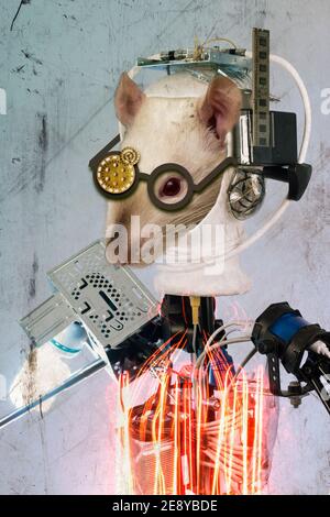 Abstraktes Konzept Cyborg mechanische weiß Labor Ratte Collage 3D Illustration Stockfoto