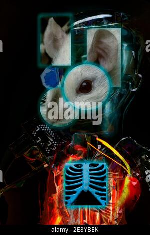 Abstraktes Konzept Cyborg mechanische weiß Labor Ratte Collage 3D Illustration Stockfoto