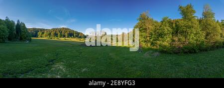 Idyllischer Blick über eine grüne Wiese neben Bäumen und einem hohen Stand unter blauem Sommerhimmel. Stockfoto