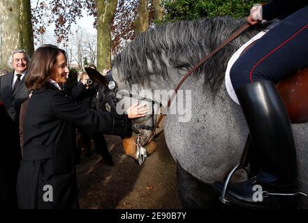 Der ehemalige sozialistische Präsidentschaftskandidat Segolene Royal besucht am 26. November 2007 die 'Haras National' von Saintes, Frankreich. Foto von Patrick Bernard/ABACAPRESS.COM Stockfoto