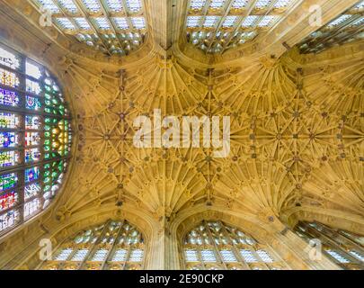 Wunderschöne Fächergewölbe an der Decke der Sherborne Abbey, Sherborne, Dorset, UK: Langhaus-Gewölbe mit Bossen Stockfoto