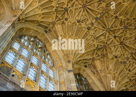 Wunderschöne Fächergewölbe an der Decke der Sherborne Abbey, Sherborne, Dorset, UK: Langhaus-Gewölbe mit Bossen Stockfoto