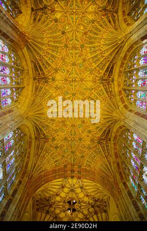 Wunderschöne Ventilatorgewölbe an der Decke der Sherborne Abbey, Sherborne, Dorset, Großbritannien - der Chor und das Presbyterium Dach Stockfoto