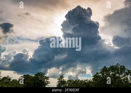 Wolkenlandschaft mit Sonne hinter flauschigen Wolken und Baumwipfel im Sommer. Stockfoto
