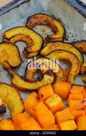Geröstete Butternut-Squashwürfel und Eichelkürbis-Scheiben auf Pergament Papier auf einem Backblech Stockfoto