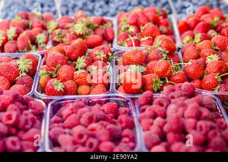 Erdbeeren, Himbeeren, Heidelbeeren in durchsichtigen Kunststoff-Container-Box zum Verkauf auf dem Lebensmittelstand auf dem Lebensmittelmarkt. Sommerfrüchte. Gesund f Stockfoto