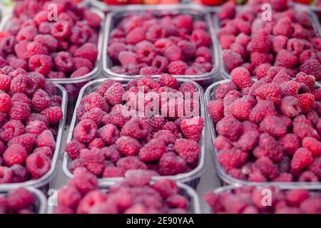 Himbeeren in Kunststoff transparente Container-Box zum Verkauf Bauernmarkt frische Beeren. Selektiver Fokus Stockfoto