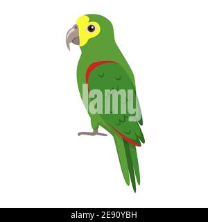 Amazonas Papageiensymbol im flachen Stil. Exotischer tropischer Vogel Symbol auf weißem Hintergrund. Amazona ochrocephala. Stock Vektor