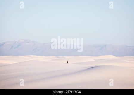 Ein Mann macht Selfie im White Sands National Park Stockfoto