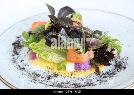 Farbenfroher Gourmet-Salat mit gemischtem Gemüse, Karotte, purpurfarbenem Blumenkohl Stockfoto