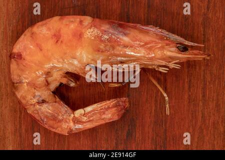 Nahaufnahme einer ganzen Garnele auf dem Grill auf einem Tisch gekocht. Hausmannskost, natürliche Ernährung Konzept Stockfoto