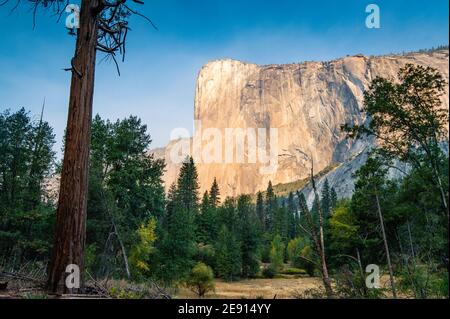 Massive El Capitan Klippe vom Yosemite Talboden aus gesehen Stockfoto