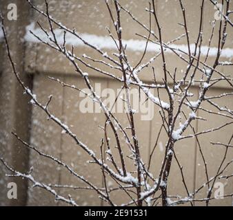 Philly 2021 Schneesturm Stockfoto