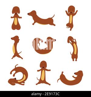 Dachshund praktiziert Yoga und meditiert. Set Yoga Hund, Entspannung und Sport. Verschiedene Posen für das Training. Vektor isoliert bunte Cartoon illustrati Stock Vektor