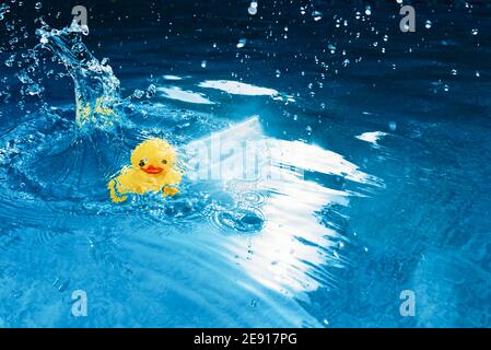 Gelber Gummiducky, der in das Schwimmbad fällt Stockfoto