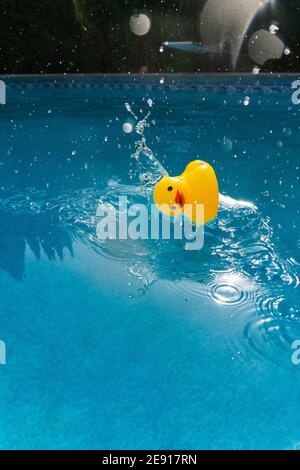 Gelber Gummiducky, der in das Schwimmbad fällt Stockfoto