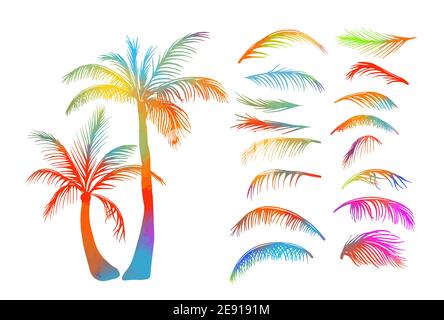 Palmen, Blumen und Gras, schwarze Silhouetten auf weißem Hintergrund. Vektor Stock Vektor