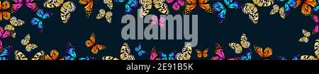 Ein langer horizontaler Rahmen mit Schmetterlingen. Vektorgrafik Stock Vektor