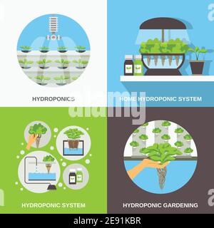 Farbe flache Zusammensetzung 2x2 Darstellung hydroponic System garding Vektor Illustration Stock Vektor