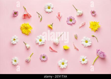 Viele schöne Frühlingsblumen auf farbigem Hintergrund Stockfoto