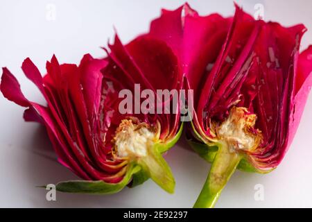 Inneneinrichtung einer roten Rose in zwei Hälften Stockfoto