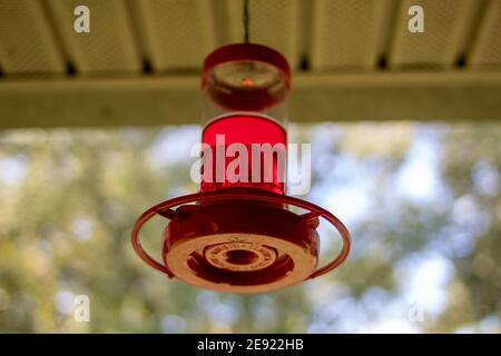 Hummingbird Feeder Stockfoto