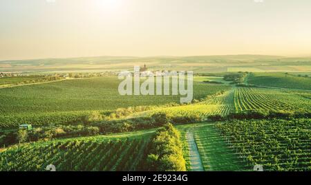 Breite Weinplantage in der Nähe des Dorfes Stockfoto