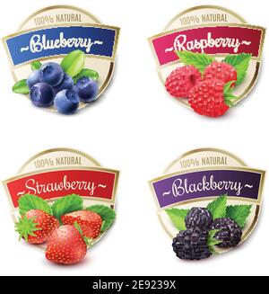 Berry Etiketten realistische Set mit Erdbeere und Heidelbeere isoliert Vektor Abbildung Stock Vektor