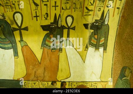 Altägyptische Wandmalerei von anubis Göttern, die Ankh-Schlüssel halten. Innenraum des Grabes von Pashedu, TT3 in Deir el Medina, Luxor, Ägypten. Uralter tom Stockfoto