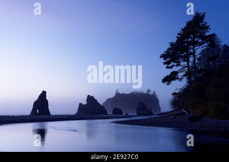 Die Wasserstapel spiegeln sich in Cedar Creek in der Abenddämmerung, Ruby Beach, Olympic National Park, Jefferson County, Washington, USA Stockfoto