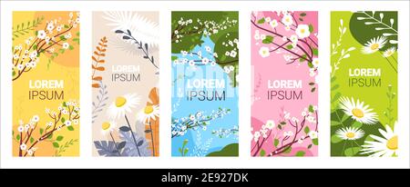 Setzen Sie schöne Blumen und Blätter floralen Frühling Poster Sammlung vertikal Grußkarten horizontale Vektorgrafik Stock Vektor