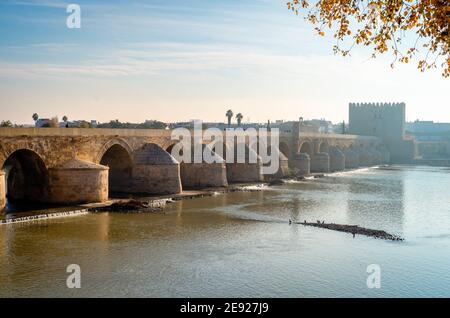 Blick auf die römische Brücke, eine Steinbrücke, die den Fluss Guadalquivir in Cordoba, Andalusien überspannt, in einem nebligen Morgen, im Winter. Stockfoto