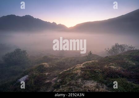 Foggy Blick von den Lofoten norwegen am hellen Sommernacht. Stockfoto