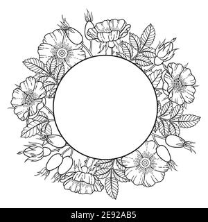 Runder Rahmen, ein Kranz aus Hundenrosenblüten, Ästen und Blättern. Vektorbild auf weißem Hintergrund isoliert. Bild für Erwachsene, Elemente für Packung Stock Vektor