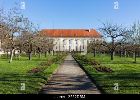 Dachau, Deutschland - 18. Nov 2020: Blick auf einen Weg des Hofgartens Richtung Schloss Dachau. Stockfoto