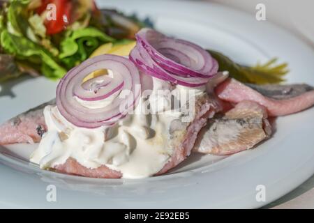 Gesalzenes junges Heringsfilet auch gesüsselt mit Äpfeln und Sauerrahm, Gurken und Zwiebeln, traditionelle holländische und deutsche Fischgericht mit Salat auf einem Stockfoto