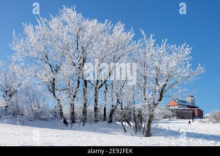 Komari Vizka Erzgebirge Tschechische Republik Winterschneebäume Tschechische Berge Winterszene Stockfoto