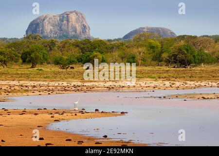 Yala Nationalpark, Sri Lanka, Asien. Schöne Landschaft, See mit alten Bäumen. Wald in Sri Lanka. Großer Steinfelsen im Hintergrund. Sommertag in wi Stockfoto