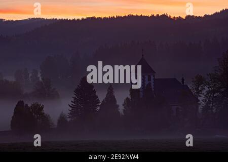 Schöner Frühling in der Landschaft. Nebliger Sommermorgen in den Bergen. Blühender Baum auf dem Hügel mit Nebel. Baum vom Berg Sumava, Tschechische Republik. Stockfoto