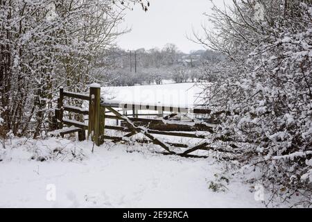 Schneebedecktes Tor in der Landschaft von Northamptonshire. Stockfoto