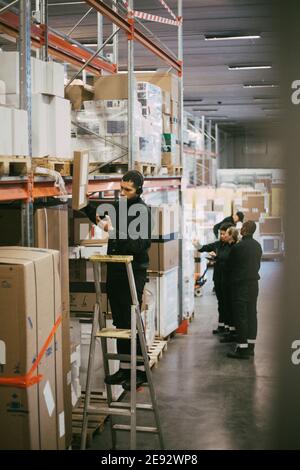 Männlicher Arbeiter, der den Bestand kontrolliert, während er auf der Leiter steht Logistiklager Stockfoto