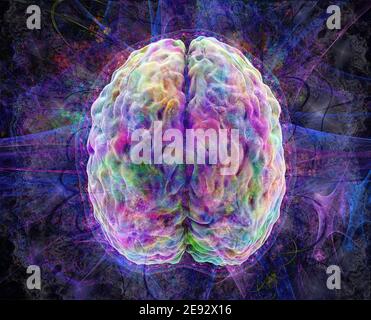 Farbige menschliche Überhirn-Modell, Obermental, Gehirn-Aktivität Konzept, Ansicht oben, 3d-Illustration Stockfoto