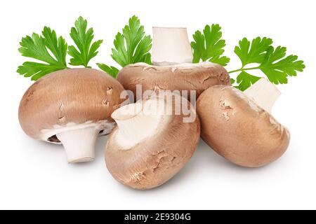 Royal Brown Champignon isoliert auf weißem Hintergrund mit Clipping Pfad Und volle Schärfentiefe Stockfoto