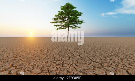 Konzept oder konzeptuelle Wüstenlandschaft mit einem grünen Baum als Metapher für globale Erwärmung und Klimawandel. Stockfoto