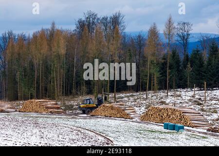 Timberjack schneidet den Wald in Herleshausen in Deutschland, 30. Januar 2021 Stockfoto