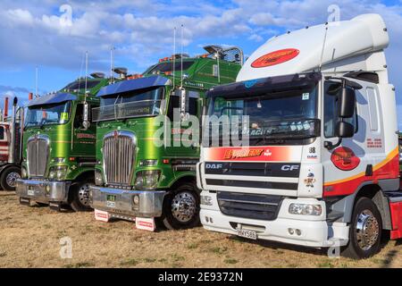 Eine Reihe von LKWs auf einer LKW-Show. Im Vordergrund ist ein weißer DAF mit zwei grünen Kenworten daneben Stockfoto